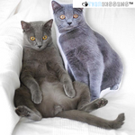 20CM- Hochwertiges, personalisiertes Kissen (kleinste Größe)