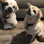 20CM- Hochwertiges, personalisiertes Kissen (kleinste Größe)