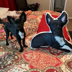 70CM personalisiertes Kissen für Haustiere (größte Größe)