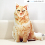 70CM personalisiertes Kissen für Haustiere (größte Größe)